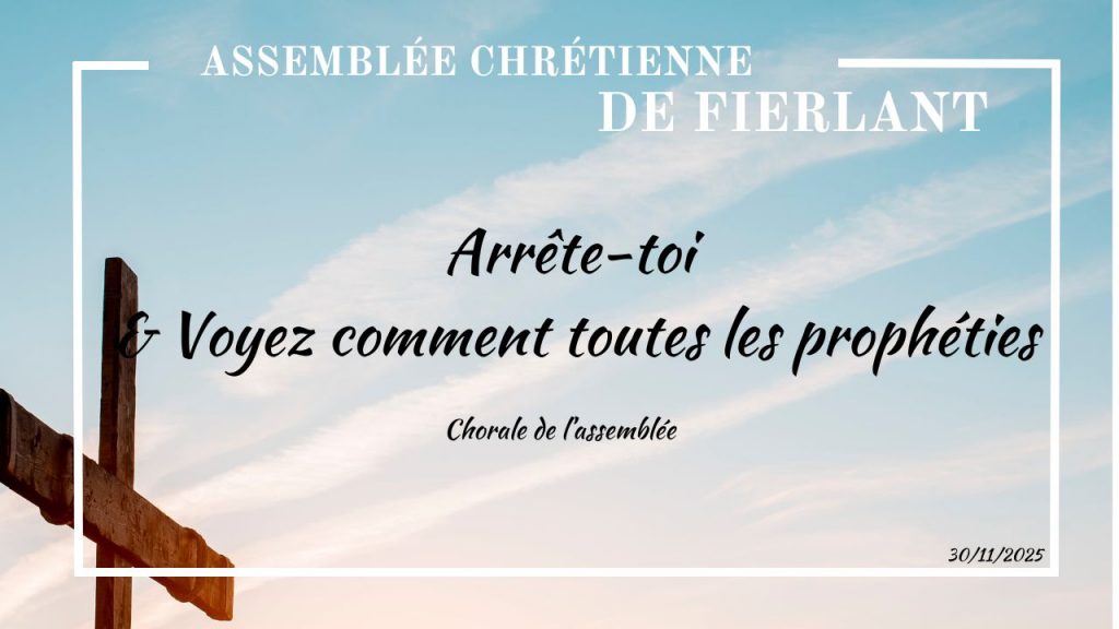 Arrête-toi & Voyez comment toutes les prophéties