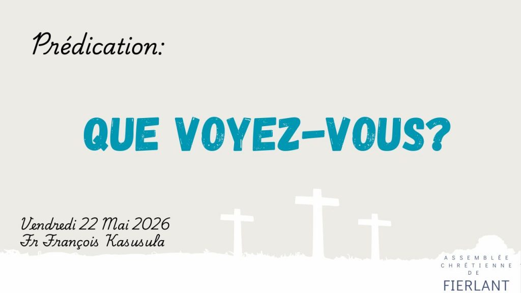 Que voyez-vous?